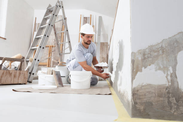 Best Residential Mold Inspection & Testing  in Watertown Town, MA