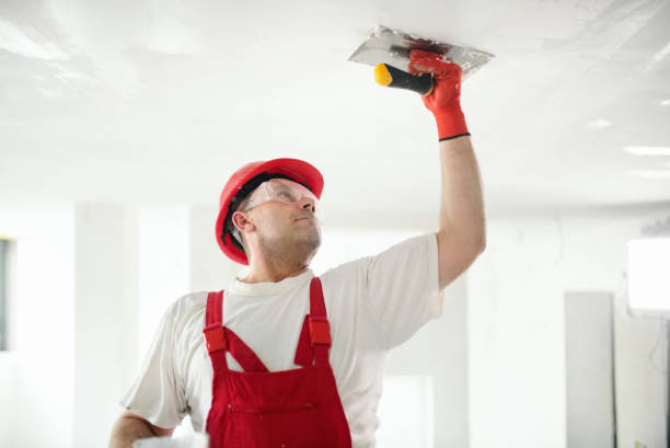 Best Water Damage & Mold Remediation  in Watertown Town, MA