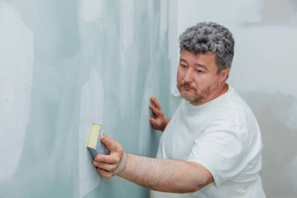 Best Biohazard Mold Removal  in Watertown Town, MA
