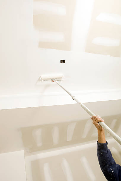 Best Attic Mold Removal  in Watertown Town, MA