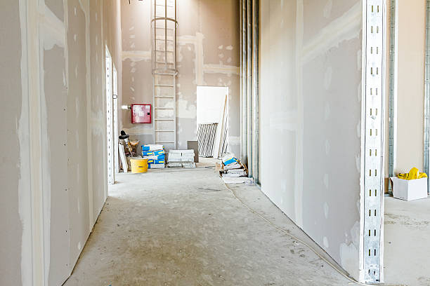 Best Dehumidification Services  in Watertown Town, MA