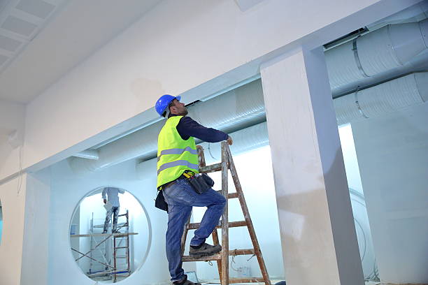 Professional Mold Removal in Watertown Town, MA